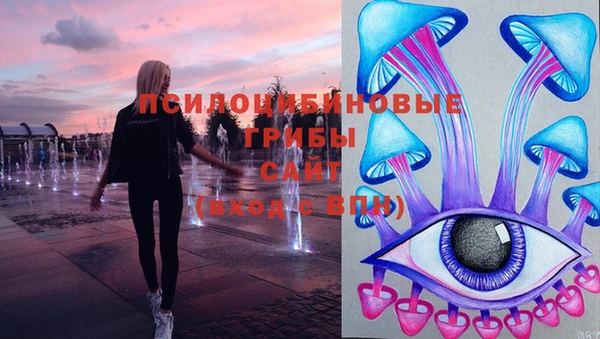 прущие грибы Алексин