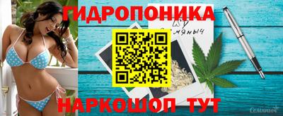 прущие грибы Малгобек