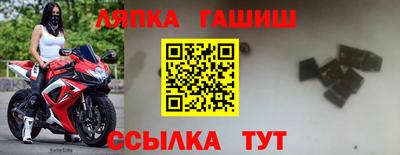 прущие грибы Малгобек