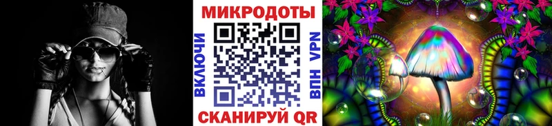 Псилоцибиновые грибы Psilocybine cubensis  закладка  Тара 
