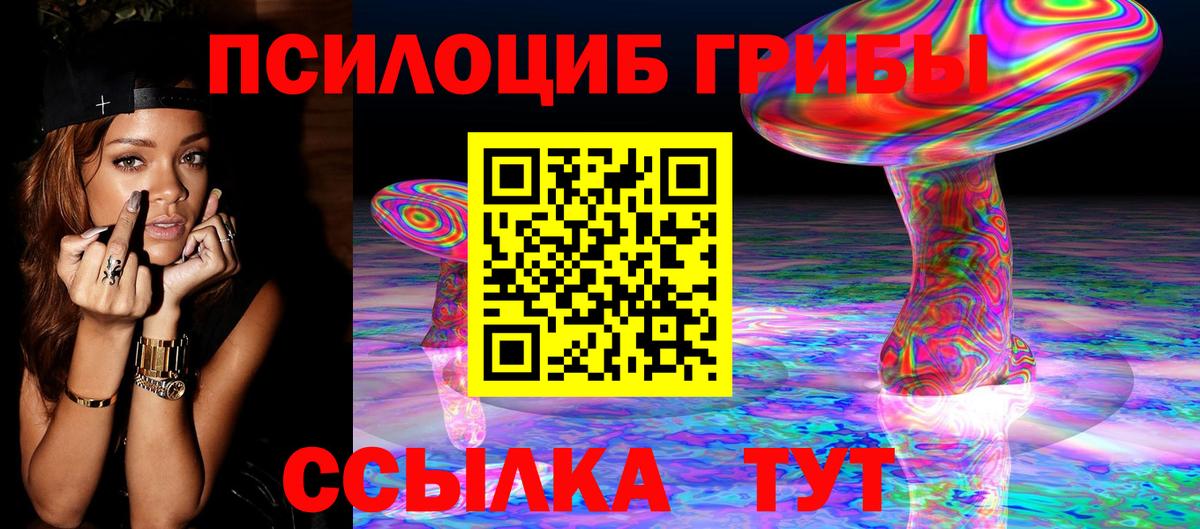Тара  Псилоцибиновые грибы прущие грибы  Вход с VPN  Галлюциногенные грибы Cubensis 