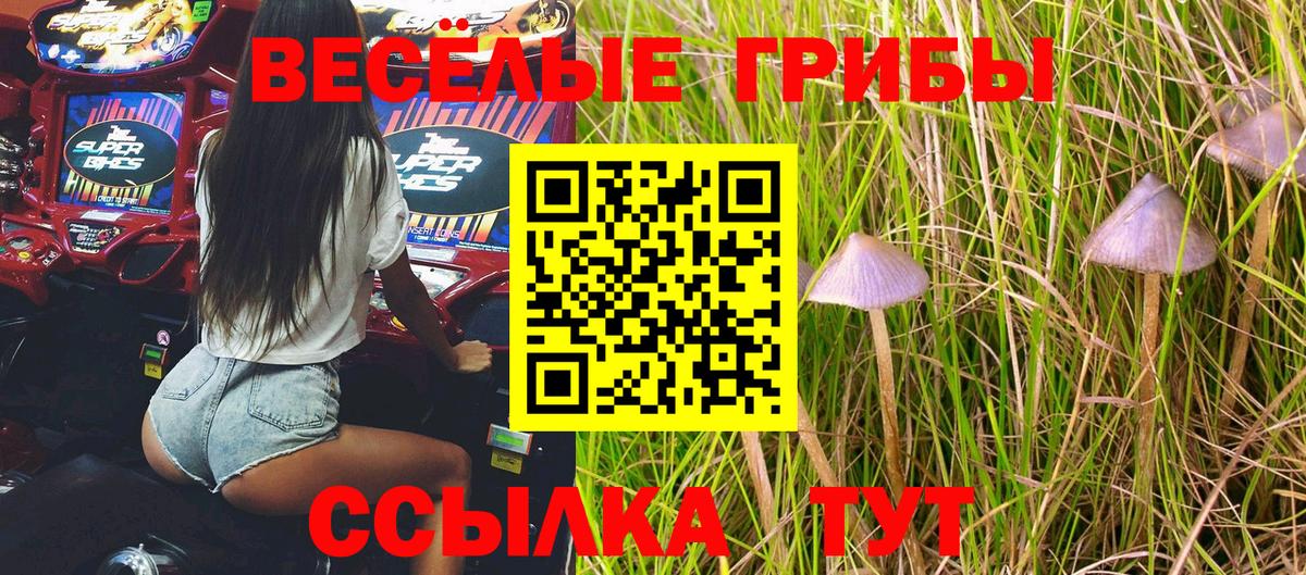 Галлюциногенные грибы Cubensis Тара
