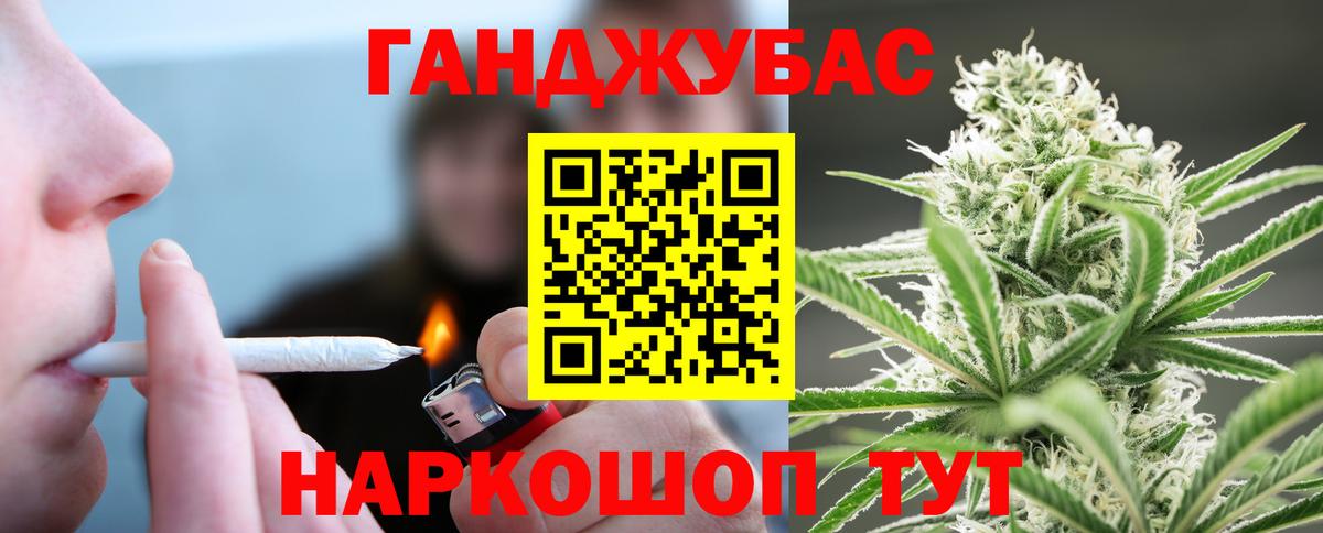 Тара  Канабис планчик  Бошки Шишки конопля  Вход с VPN  Шишки марихуана сатива  МАРИХУАНА White Widow 